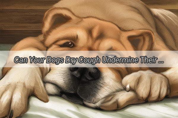 Can Your Dogs Dry Cough Undermine Their Appetite Uncover the Surprising Link